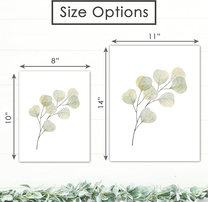 Botanical Prints Wall Art - Eucalyptus Leave - (Set of 6) Art Print - 11x14 (Unframed) | Refresh Your Space with Nature's Elegance | Elevate Your Room Decor with Timeless Greenery| Home Decor