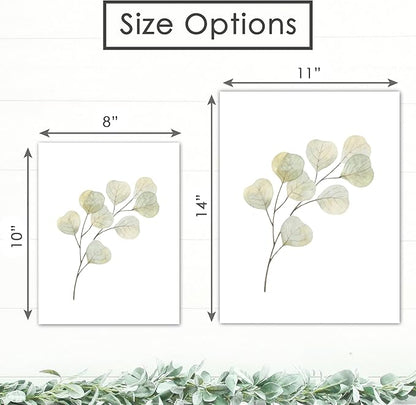Botanical Prints Wall Art - Eucalyptus Leave - (Set of 6) Art Print - 11x14 (Unframed) | Refresh Your Space with Nature's Elegance | Elevate Your Room Decor with Timeless Greenery| Home Decor