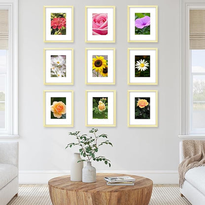 JCJMY 10 Packs 8x10 Picture Frame, Display 5x7 with Mat or 8x10 Without Mat, Gallery Wall Frame Set, 8 by 10 Frames Bulk Set of 10 Collage Wall Decor Photo Frames Set for Wall and Tabletop, Gold