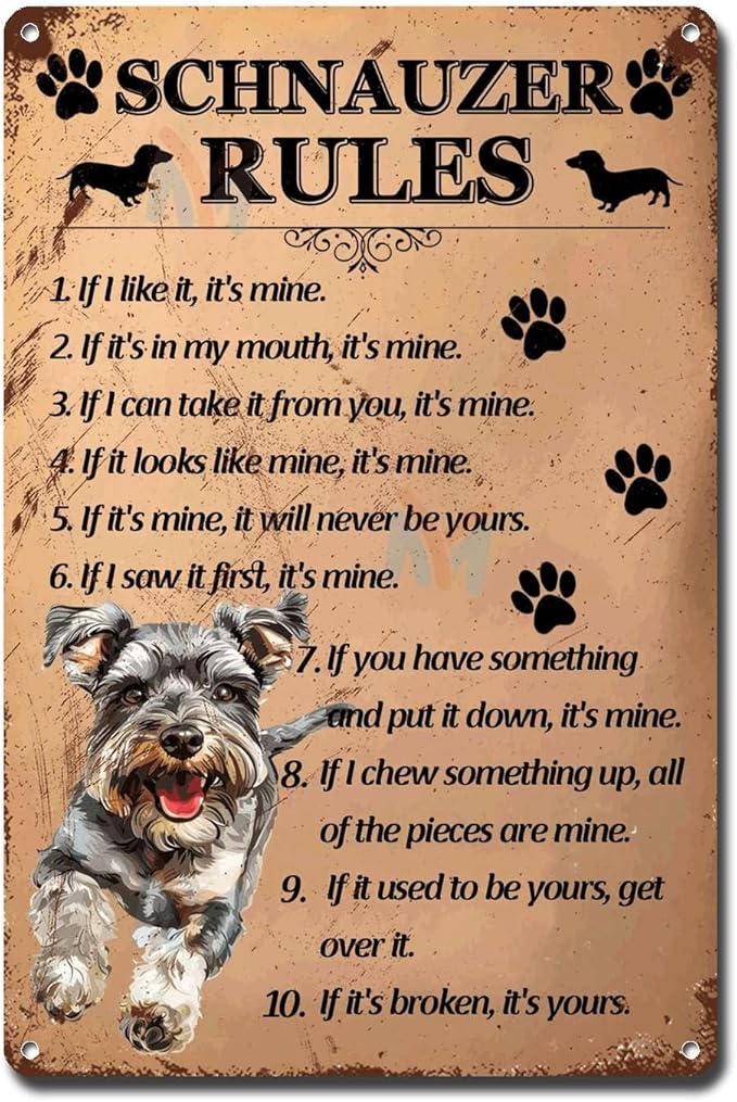 Metal Sign Tin Sign Vintage Wall Art Schnauzer Rules Tin Sign Paper for Bar 8×12 Inches