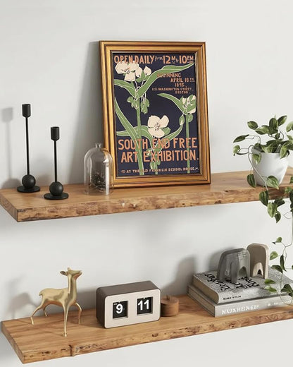 VIYYIEA Vintage Nouveau Historical Wall Art Decor for Living Room Study, Aesthetic Botanical Floral Tradescantia Exhibition Poster Pictures,12x16inch,Gold Framed Canvas Prints Paintings