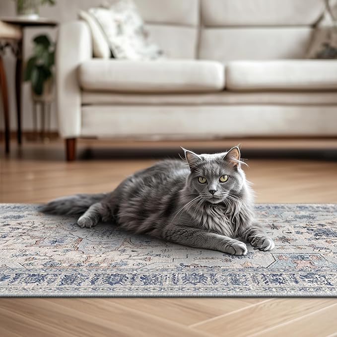 BESTSWEETIE 2x3 Area Rug Washable Rugs for Living Room, No Pile Boho Carpet for Entryway Bedroom Dinning Room, Vintage Carpet Print Distressed Non-Slip, 2 x 3 ft, Beige Blue