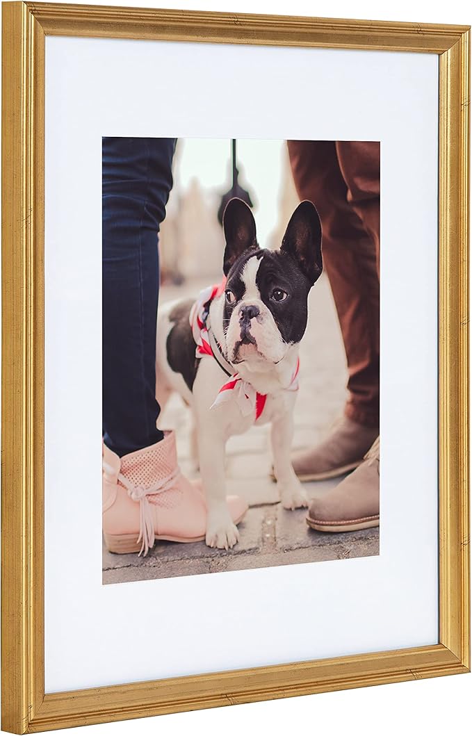 Kate and Laurel Adlynn Wall Picture Frame Set, 11" x 14" matted to 8" x 10", Gold, Set of 4