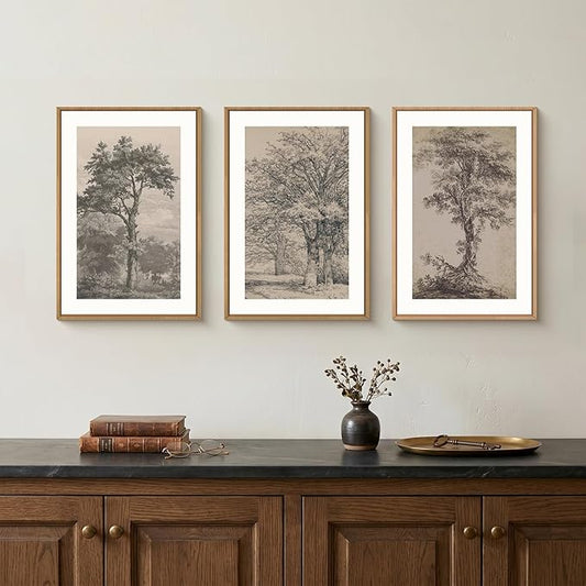 KAIRNE Vintage Tree Sketch Framed Canvas Wall Art Set, Antique Tree Drawings Wall Decor, Retro Forest Art Prints, Modern Nature Landscape Artwork for Living Room, Bedroom, Farmhouse, Office-16 x24 x3