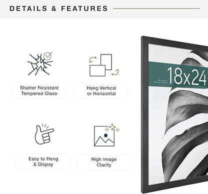 MCS Studio Gallery 18x24 Poster Frame Black Woodgrain Engineered Wood, Vertical & Horizontal Wall Hanging Large Picture Frame for Photos, Posters & Art Prints (2-Pack)
