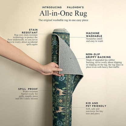 2x3 Washable Rugs for Entryway Indoor: Small Area Rug Door Mat Entrance Non-Slip Low Pile Soft Throw Rug for Kitchen Front Door Indoor Entrance Bedside Entry Kids Room