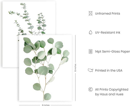 HAUS AND HUES Botanical Plant Wall Art Prints - Set of 4 Plant Decor Prints, Floral Kitchen Pictures, Flower Leaves Wall Art, Boho Leaf Eucalyptus Wall Décor (8x10, UNFRAMED)