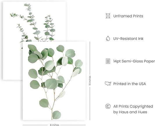HAUS AND HUES Botanical Plant Wall Art Prints - Set of 4 Plant Decor Prints, Floral Kitchen Pictures, Flower Leaves Wall Art, Boho Leaf Eucalyptus Wall Décor (8x10, UNFRAMED)