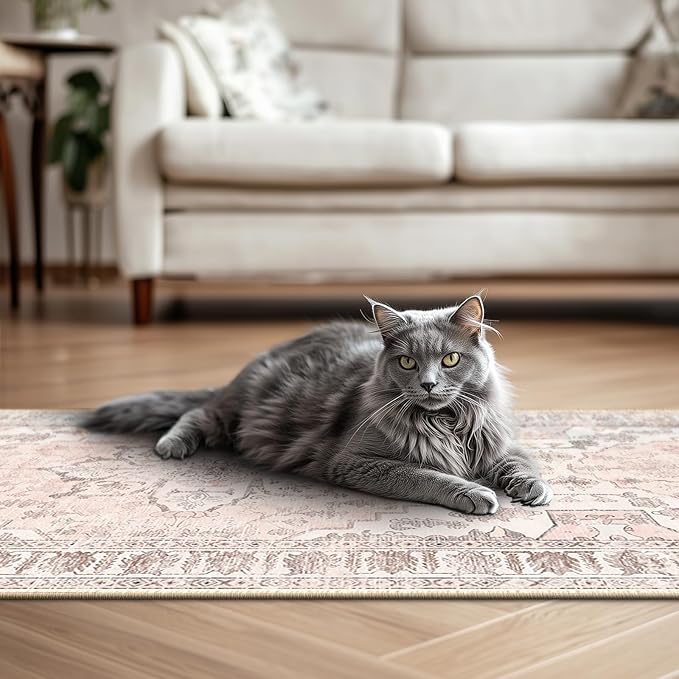 BESTSWEETIE 2x10 Area Rug Washable Rugs for Living Room, No Pile Boho Carpet for Entryway Bedroom Dinning Room, Vintage Carpet Print Distressed Non-Slip, 2 x 10 ft, Pink Beige Grey