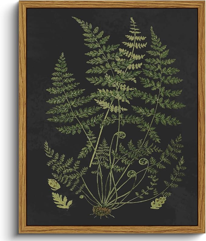 VIYYIEA Framed Canvas Wall Art Home Decor Aesthetic Minimalist Botanical Print Boho Pictures for Rustic Vintage Farmhouse Artwork Bedroom Bathroom House Decor Kitchen Wall Decor 8x10in