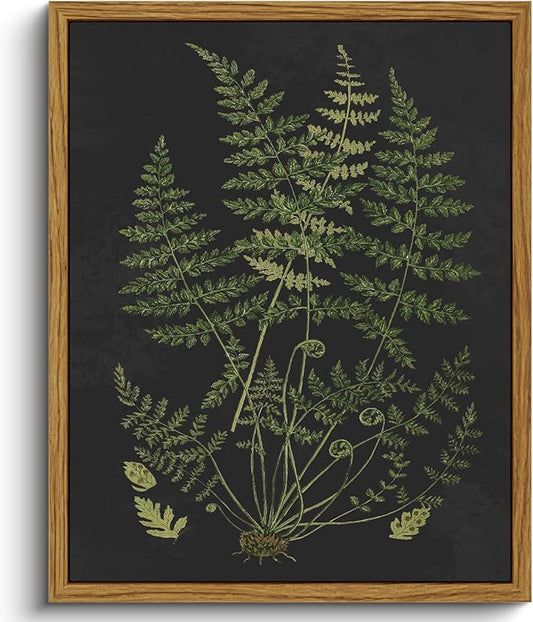 VIYYIEA Framed Canvas Wall Art Home Decor Aesthetic Minimalist Botanical Print Boho Pictures for Rustic Vintage Farmhouse Artwork Bedroom Bathroom House Decor Kitchen Wall Decor 8x10in