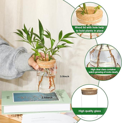 Separated Desktop Glass Flower Vases with Wooden Saucers - Ideal Plants Propagation Stations for Living Room, Bedroom Decoration,Home Decor (9)
