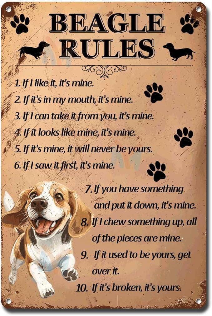 Metal Sign Tin Sign Vintage Wall Art Beagle Rules Tin Sig for Bar 12×16 Inches