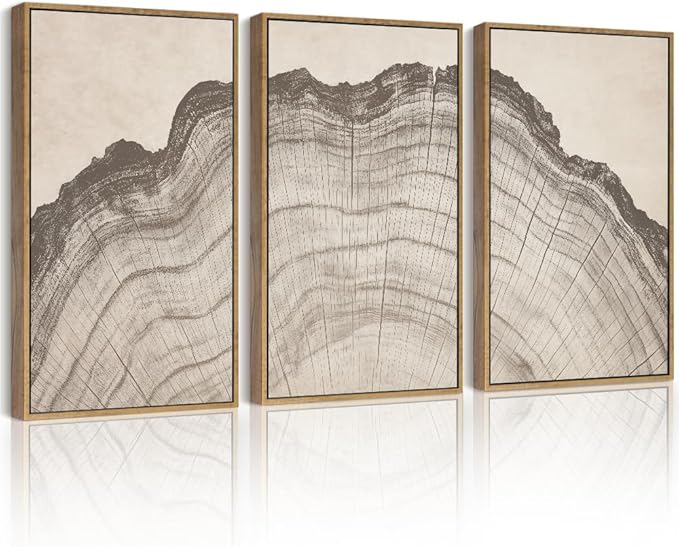 Drsoum Vintage Tree Rings Wood Wall Art Framed Retro Wood Stump Prints Modern Nature Rustic Artwork Bedroom Living Room Ready to Hang 11x14in Natural Framed