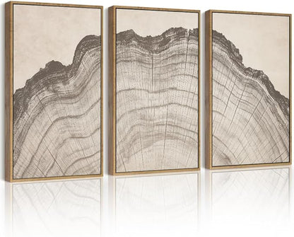Drsoum Vintage Tree Rings Wood Wall Art Framed Retro Wood Stump Prints Modern Nature Rustic Artwork Bedroom Living Room Ready to Hang 11x14in Natural Framed