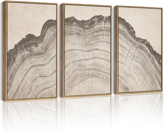Drsoum Vintage Tree Rings Wood Wall Art Framed Retro Wood Stump Prints Modern Nature Rustic Artwork Bedroom Living Room Ready to Hang 11x14in Natural Framed