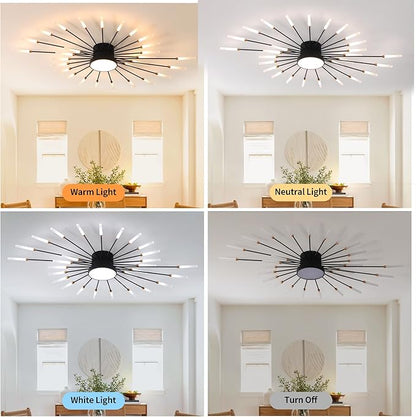Modern Ceiling Light LED Flush Mount Ceiling Light for Living Room,Kitchen,Dining Room,Bedroom Fireworks Design Dimmable with Remote Control & Memory Function Lighting Fixture (Black,28 Light)
