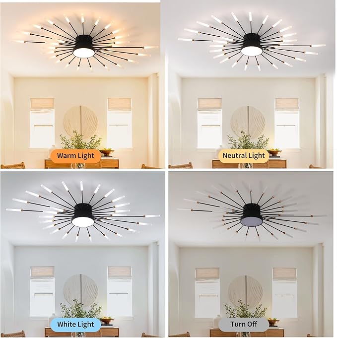 Modern Ceiling Light LED Flush Mount Ceiling Light for Living Room,Kitchen,Dining Room,Bedroom Fireworks Design Dimmable with Remote Control & Memory Function Lighting Fixture (Black,42 Light)