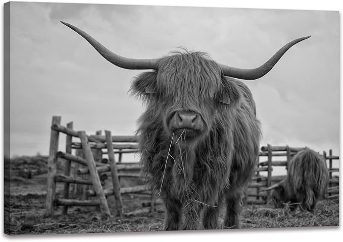 Highland Cow Wall Art Black and White Large Canvas Picture Animal Poster Framed Art Wall Decor for Living Room Bathroom (28x44 inch)