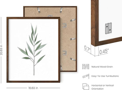 HAUS AND HUES Green Plant Art Print Set of 4-16x20 - Walnut Framed