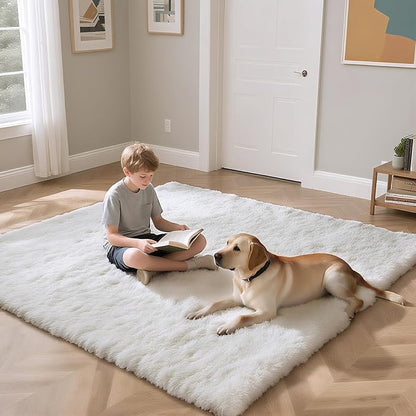 Fluffy Rug Shag Area Rug, White 2x4 Area Rugs for Bedroom, Small Bedside Rug, Soft Fluffy Shag Entryway Throw Rugs for Living Room Bedroom Kids Room Home Decor