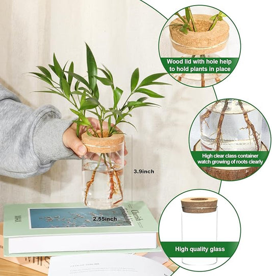 Separated Desktop Glass Flower Vases - Ideal Plants Propagation Stations for Living Room, Bedroom Decoration,Home Decor (4)