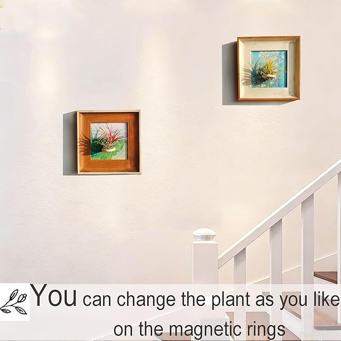 2 Pack Van Gogh Wall Art & Air Plant Airplant Holder Stand Magnetic Frame Set - 2-in-1 Famous Prints (Almond Blossom & Green Wheat Fields) for Living Room Bedroom Home Office Decor Plant Lovers' Gift