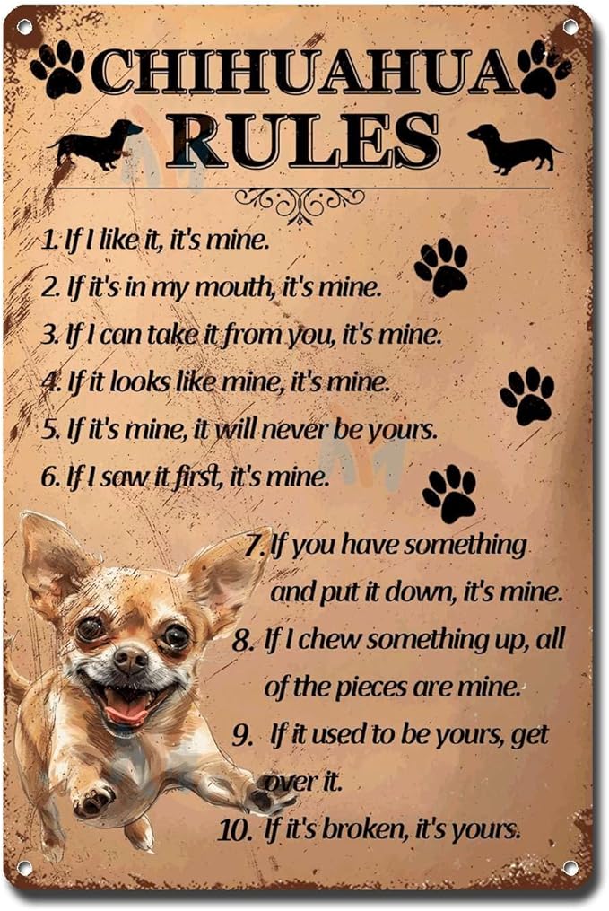 Metal Sign Tin Sign Vintage Wall Art Chihuahu Rules Metal Garden Signs for Pub 8×12 Inches