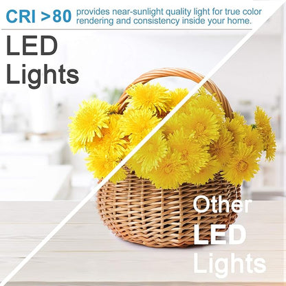 2 Inch LED Recessed Lighting, Dimmable Downlight 3W(35W Halogen Equivalent), CRI80, 2700K Ultra Warm White Ceiling Light with LED Driver (10 Pack)