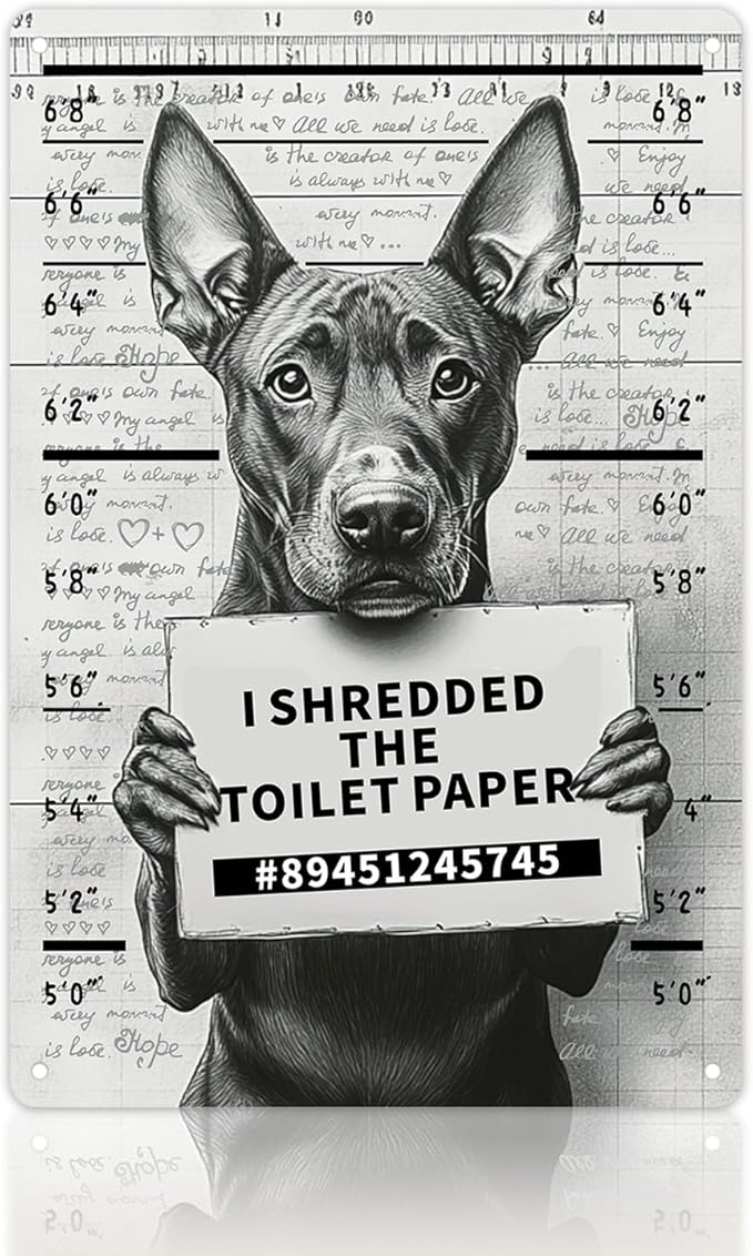 Vintage Tin Sign - Posters "I Shredder The Toolet Paper" For Home, bathroom, Man Cave Decor 8x12 Inch