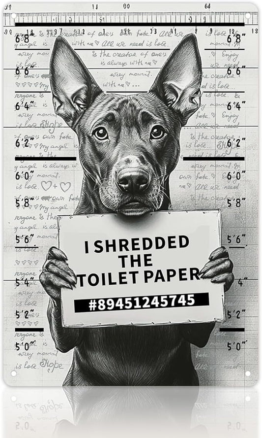 Vintage Tin Sign - Posters "I Shredder The Toolet Paper" For Home, bathroom, Man Cave Decor 8x12 Inch