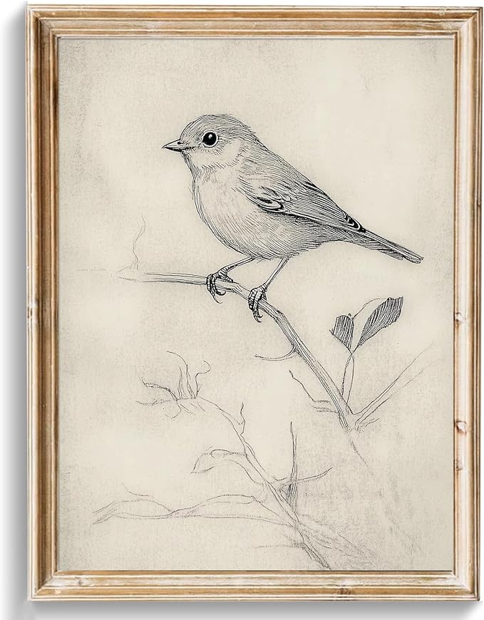 uniro Vintage Bird Sketch Wall Art Prints Farmhouse Decor Sparrow on a Branch Sketch Canvas Oil Painting Antique Bird Neutral Vintage Artwork Pictures for Bedroom Living Room Decor (8" x 10"-UNFRAMED)