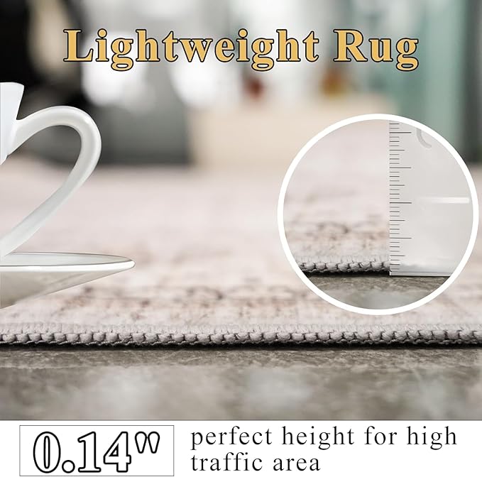 Washable Area Rugs 2x4 Entryway: Soft Ultra Thin Low Pile Mat Machine Washable Indoor Doormat Lightweight Entry Rug Anti Slip Backing Rugs for Living Room Bedroom Kitchen 2'x4' Beige