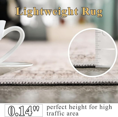 Washable Area Rugs 2x4 Entryway: Soft Ultra Thin Low Pile Mat Machine Washable Indoor Doormat Lightweight Entry Rug Anti Slip Backing Rugs for Living Room Bedroom Kitchen 2'x4' Beige