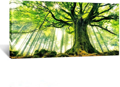 KREATIVE ARTS Extra Large Canvas Art Print Spring Forest Nature Green Big Tree Wall Art Photo Printed on Canvas Framed Artwork for Office Wall Decoration Ready to Hang 24x48inch
