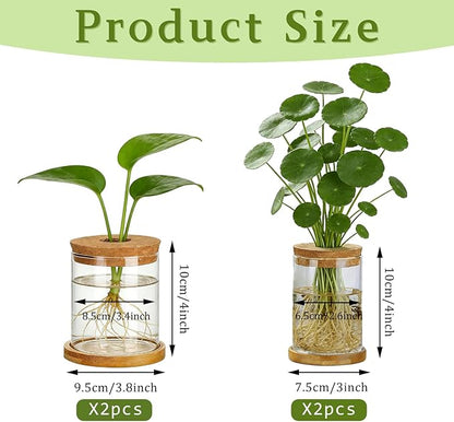 4 Set Glass Plant Propagation Station for Plants - 2 Large & 2 Small for Plant Cuttings Hydroponic Vases with Lid & Bamboo Stand Desktop Propagation Vases for Living Room, Bedroom, Office