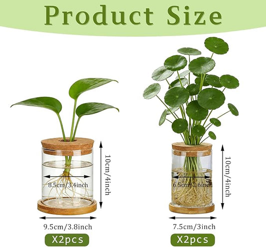 4 Set Glass Plant Propagation Station for Plants - 2 Large & 2 Small for Plant Cuttings Hydroponic Vases with Lid & Bamboo Stand Desktop Propagation Vases for Living Room, Bedroom, Office