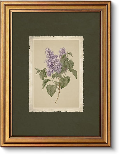 VIYYIEA Vintage Gold Framed Wall Art, Aesthetic Botanical Violet Flower Herb Canvas Prints Paintings, French Country Farmhouse Wall Decor For Kitchen Bathroom Bedroom, 12x16inch