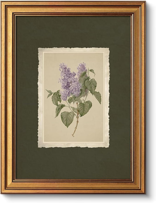 VIYYIEA Vintage Gold Framed Wall Art, Aesthetic Botanical Violet Flower Herb Canvas Prints Paintings, French Country Farmhouse Wall Decor For Kitchen Bathroom Bedroom, 12x16inch