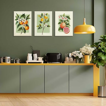 LHHJDIO 3 Piece Vintage Fruit Canvas Wall Art Trendy Kitchen Wall Art Boho Orange Lemon Grapefruit Pictures Wall Decor Citrus Botanical Art Prints for Dining Room Living Room 16"x24"