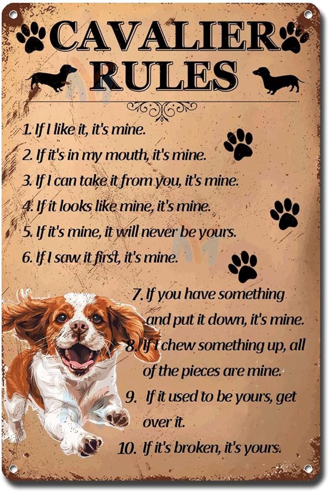 Metal Sign Tin Sign Vintage Wall Art Cavalier Rules Garage Sign for Room 6×8 Inches