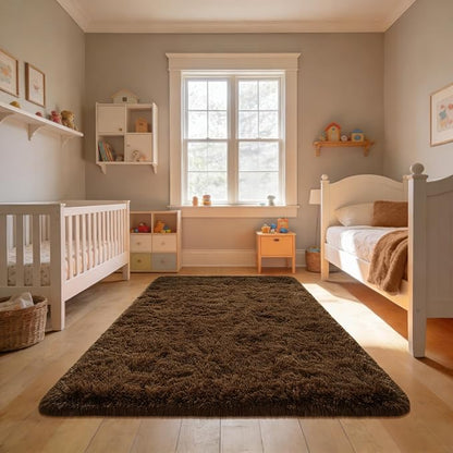 Andecor Shag Area Rug for Living Room, 4x6 Feet Coffee Soft Fluffy Indoor Plush Throw Rugs for Bedroom Girls Kids Room Nursery Dorm Home Decor Carpet