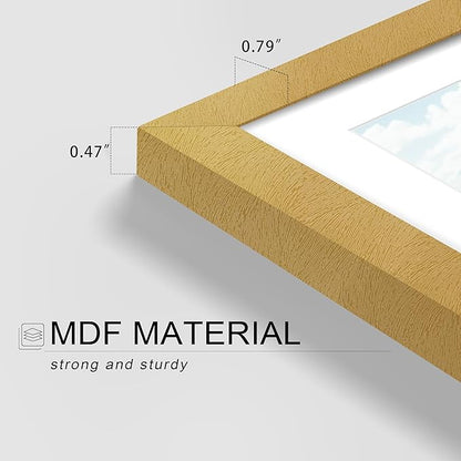 Picrit 8x10 Picture Frame Set of 12, Display 5x7 with Mat or 8x10 without Mat, Photo Frames for Wall Mounting or Table Top Display, Gold