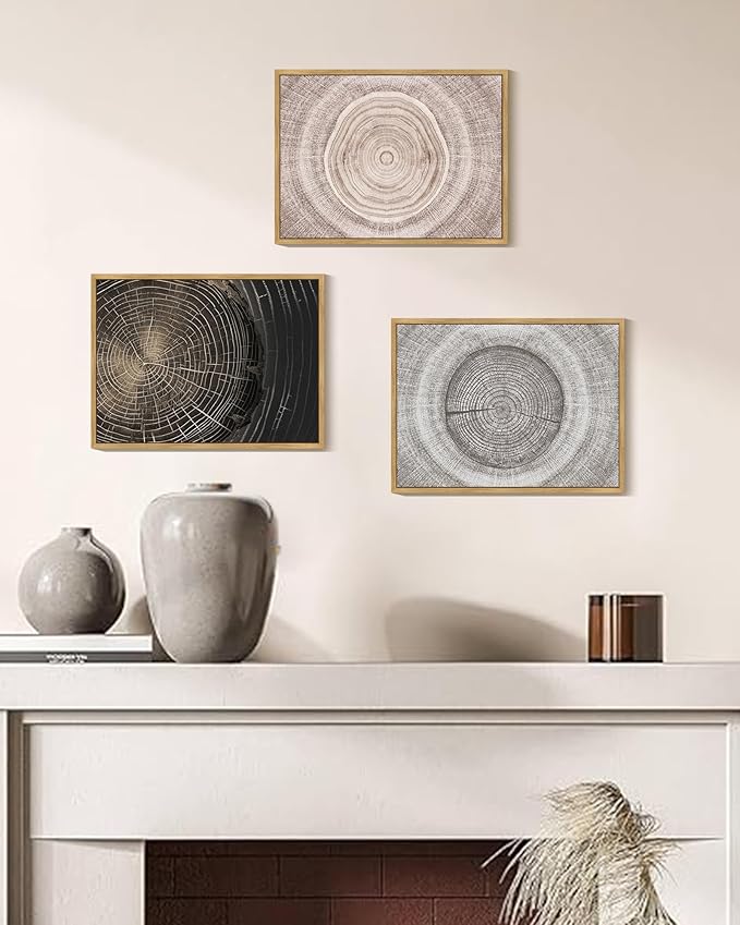 PHOPAGO Vintage Wood Tree Rings Wall Art Farmhouse Rustic Framed Canvas Paintings Living Room Bedroom Decor Nature Artwork 11x14in Natural Framed