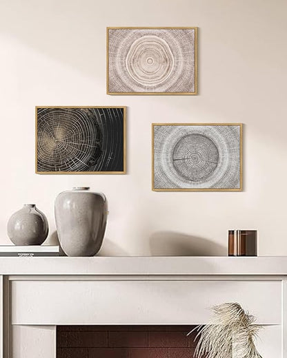 PHOPAGO Vintage Wood Tree Rings Wall Art Farmhouse Rustic Framed Canvas Paintings Living Room Bedroom Decor Nature Artwork 11x14in Natural Framed