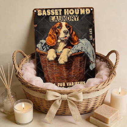 Retro Metal Poster Basset Hound Laundry Wash And Dry Metal Tin Signs Vintage Plaque Wall Decor for Home Laundry room Bathroom 12x8 Inch