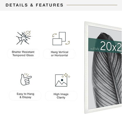 MCS Studio Gallery 20x27 Poster Frame White Woodgrain Engineered Wood, Vertical & Horizontal Wall Hanging Large Picture Frame for Photos, Posters & Art Prints (1-Pack)