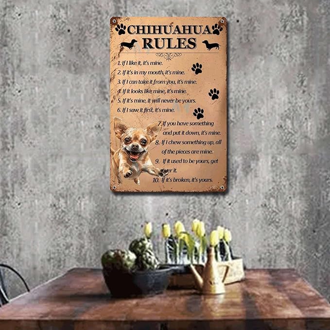 Metal Sign Tin Sign Vintage Wall Art Chihuahu Rules Metal Garden Signs for Pub 8×12 Inches