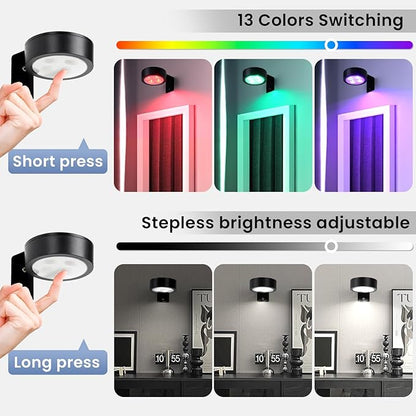 KELUOLY 4-Pack Wireless Battery Operated Painting Light with Remote Control,13 Color RGB Magnetic Led Art Picture Lights for Wall, Dimmable and Timer Poster Light, Wall Decor Black Display Light
