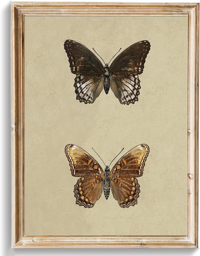 uniro Vintage Wall Art Prints, Vintage Butterfly Canvas Art Prints Painting, Antique Insect Drawing Wall Art Picture, Farmhouse Wall Decor for Kitchen, Dining Desktop Decor - (8" x 10"-UNFRAMED)